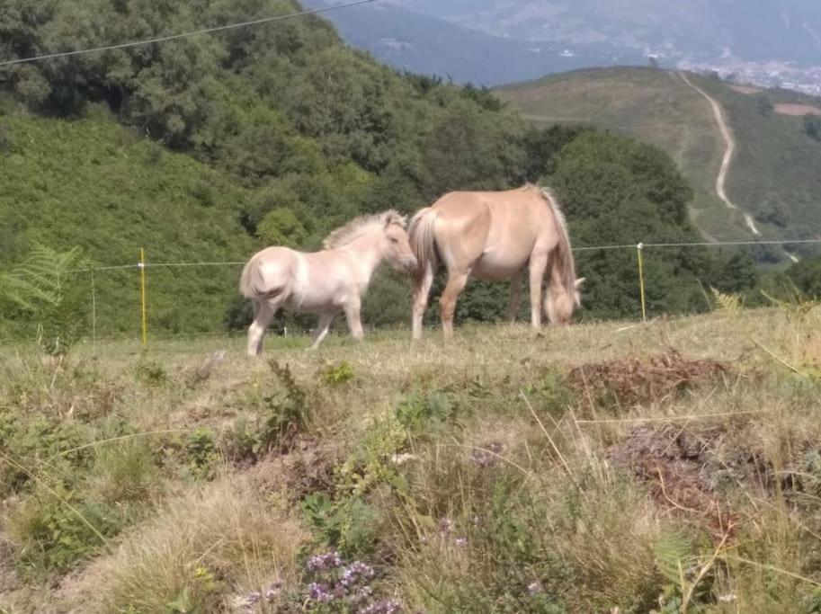 Gite La Grangette De Pauline Mercus-Garrabet Exterior foto